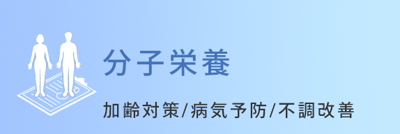 美容栄養